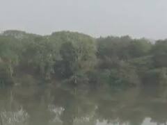 અમદાવાદઃ લાલ બહાદુર શાસ્ત્રી સ્ટેડિયમ સત્તાધીશોના પાપે નામશેષ, જુઓ વીડિયો