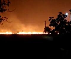Ratnagiri Fire | जैतापूर अणुऊर्जा प्रकल्प परिसरातील वणवा आटोक्यात, आंबा बागांचं नुकसान