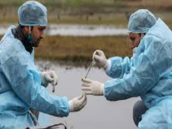 6 राज्यों में बर्ड फ्लू के मामले मिले, क्या कोरोना के बाद भारत को सताएगा H5N1 | मास्टर स्ट्रोक