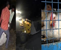 Smart Bulletin | स्मार्ट बुलेटिन | 11 जानेवारी 2021 | सोमवार | ABP Majha