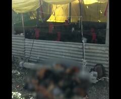 Bird Flu In Maharashtra | ज्याची भीती होती तेच झालं; महाराष्ट्रात अखेर बर्ड फ्लूचा शिरकाव!