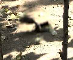 Bird Flu को लेकर Dehradun में हाई अलर्ट