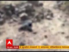 રાજકોટના જસદણમાં દીપડાનો આતંક, 16 પશુઓનું કર્યું મારણ