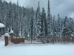 Visuals of snowfall from Badrinath Dham | Uttarakhand 