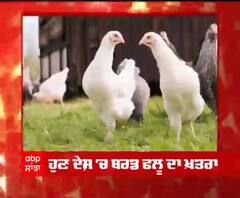 Breaking | ਦੇਸ਼ 'ਚ ਬਰਡ ਫਲੂ ਦਾ ਖ਼ਤਰਾ,ਮਰੇ ਪ੍ਰਵਾਸੀ ਪੰਛੀਆਂ 'ਚ ਪੁਸ਼ਟੀ