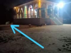 અમદાવાદ શહેરના કયા વિસ્તારમાં દીપડો જોવા મળ્યો હોવાની આશંકાને લઈ લોકોમાં ફફડાટ ? જુઓ વીડિયો 