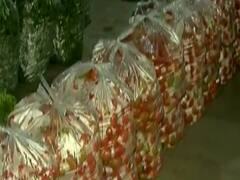 શાકભાજીના ભાવ તળિયે પહોંચ્યા, ખેડૂતો ઓછા ભાવે શાકભાજી વેચવા મજબૂર