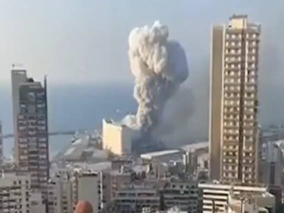 A look at the viral incidents of 2020 from across the world