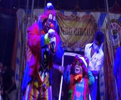 सर्कशीचा पुन्हा श्रीगणेशा, कलाकारांच्या चेहऱ्यावर हास्य फुललं, विदूषक पाहून बच्चे कंपनीही खूश!