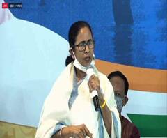 West Bengal Elections 2021: হিন্দু-মুসলিমের পর এখন বাঙালি-অবাঙালি রাজনীতি করছে BJP, অভিযোগ Mamata Banerjee-র