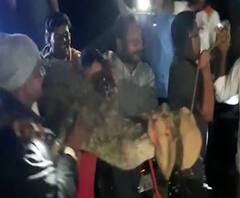 जिवंत मगरीला पकडून ग्रामस्थांनी खांद्यावर उचललं, सांगलीच्या सापटेवाडीतील ग्रामस्थांचं अजब धाडस