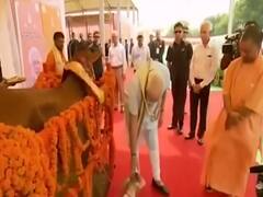 बड़ी बहस: गाय पर होने वाले इम्तिहान से किसको दिक्कत?