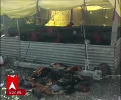 Bird Flu In Maharashtra | पाथर्डीतील मिडसावंगी 'गाव रेड झोन'