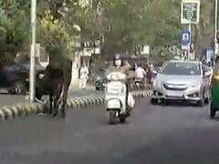 મારો વોર્ડ મારી વાતઃ રાજકોટના વોર્ડ નંબર-8ના સ્થાનિકોની શું છે સમસ્યા?