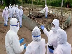 कोरोना के बीच देश पर नए वायरस का संकट, 10 राज्यों में bird flu की पुष्टि