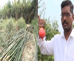 शेती जगत | शेती क्षेत्रातील घडामोडींचा वेगवान आढावा | 11 जानेवारी 2021