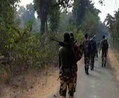 Rural News | गावागावातील बातम्यांचा वेगवान आढावा, तुमच्या गावात काय घडलं? माझं गाव माझा जिल्हा