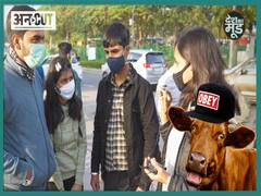 राष्ट्रीय कामधेनु आयोग करवाएगा 'गौ विज्ञान' परीक्षा!