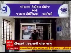 અમરેલીના મોણવેલ ગામે દીપડાએ મહિલા પર કર્યો હુમલો, જુઓ વીડિયો 