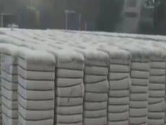 કમોસમી વરસાદથી નસવાડીના CCI કેન્દ્રમાં રાખેલો કપાસ પલળ્યો, જુઓ વીડિયો