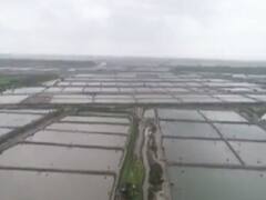 ગેરકાયદેસર ઝીંગા તળાવો મામલે સુરતના ઓલપાડના કાંઠા વિસ્તારના 17 ગામોના સરપંચને નોટિસ