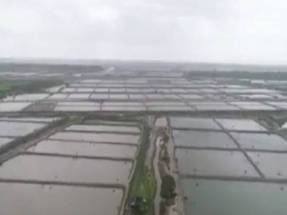 ગેરકાયદેસર ઝીંગા તળાવો મામલે સુરતના ઓલપાડના કાંઠા વિસ્તારના 17 ગામોના સરપંચને નોટિસ