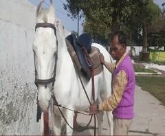 जारी है सर्दी का सितम, बेजुबानों को ठंड से बचाने के लिए विशेष इंतजाम | ABP Ganga