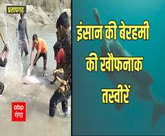 कुल्हाड़ी और डंडों से पीटकर मार डाली Dolphin, वीडियो देख आपका भी खौल उठेगा खून | Pratapgarh