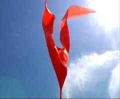 Gram Panchayat Election Result | रोहातल्या वरसे गावात राष्ट्रवादीची सरशी