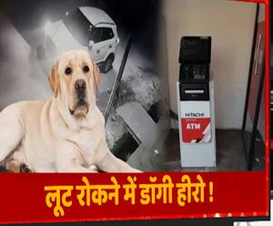 वाह! इस डॉगी ने तो कमाल कर दिया... बचा लिया ATM | Etawah | ABP Ganga 