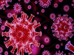 સૌરાષ્ટ્રના આ શહેરમાં કોરોનાના નવા સ્ટ્રેનની એન્ટ્રી થવાની આશંકા, જુઓ વીડિયો