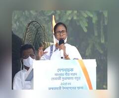 Netaji's Birth Anniversary: 'পরাক্রম দিবস নাম রাখার আগে জিজ্ঞেস করতে পারত', কেন্দ্রের কর্মসূচিকে কটাক্ষ মুখ্যমন্ত্রীর