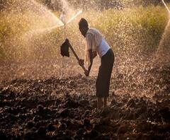 Explainer Video | शेतकरी किती प्रीमिअम भरतो? राज्य सरकार आणि केंद्र सरकार शेतकऱ्यांना किती पैसे देतात?