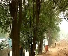 JVLR Tree Cutting | मुंबईत 728 झाडांवर कुऱ्हाड? आरे वाचवणारं सरकार वृक्षतोड टाळणार का?