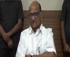 Sharad Pawar on Dhananjay Munde | धनंजय मुंडेंवरचे आरोप गंभीर, शरद पवारांचे कारवाईचे संकेत