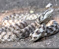 Rural News | गावागावातील बातम्यांचा वेगवान आढावा, तुमच्या गावात काय घडलं? माझं गाव माझा जिल्हा