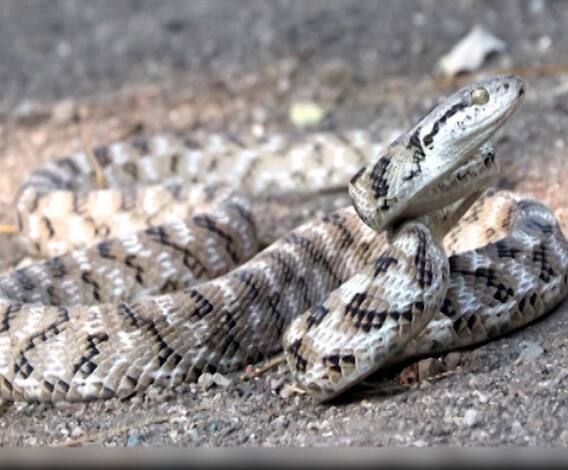 Rural News | गावागावातील बातम्यांचा वेगवान आढावा, तुमच्या गावात काय घडलं? माझं गाव माझा जिल्हा