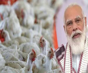 इंसानों के लिए बेहद खतरनाक है Bird Flu, PM Modi ने भी किया आगाह | ABP Ganga 