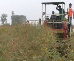 शेती जगत | जर्मन टेक्नॉलॉजीचे काढणी यंत्र | शेती क्षेत्रातील घडामोडींचा आढावा | 04 जानेवारी 2021 