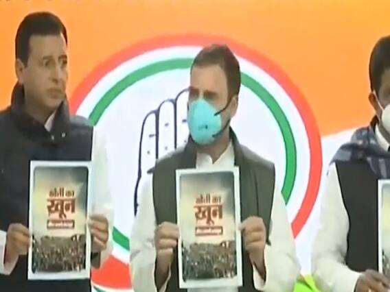 Congress में क्या Rahul gandhi को मिलने वाली है बड़ी जिम्मेदारी? CWC की बैठक से पहले चर्चाएं तेज