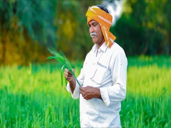 किसानों को बजट में राहत कैसे देगी सरकार ? | Budget 2021 Survey