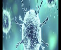 Corona Vaccination Update: 'DGCI-এর ছাড়পত্র অতিমারীর শেষের শুরু', জানালেন চিকিৎসক দীপ্তেন্দ্র সরকার