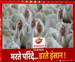 Bird Flu की दहशत से हड़कंप, Uttar Pradesh में भी अलर्ट जारी | ABP Ganga 