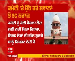 ਕਮੇਟੀ 'ਤੇ ਉੱਠ ਰਹੇ ਸਵਾਲਾਂ ਤੋਂ SC ਨਰਾਜ਼ 