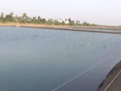 સુરતના ઓલપાડમાં ગેરકાયદે ઝિંગા તળાવને લઈ પ્રશાસન એક્શનમાં 