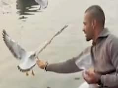 Varanasi में Shikhar Dhawan को घुमाने वाले नाविकों पर कार्रवाई, जानिए पूरा मामला