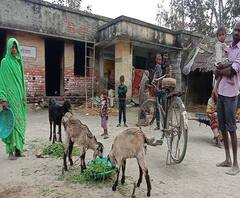 अफसरों की लापरवाही से ग्राम पंचायत भवन में रहने को मजबूर ये है गरीब परिवार | Amethi 