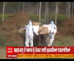 ਪੰਜਾਬ ’ਚ ਬਰਡ ਫਲੂ ਦੀ ਪੁਸ਼ਟੀ, ਰੋਕਣ ਲਈ ਚੁੱਕੇ ਇਹ ਕਦਮ ?