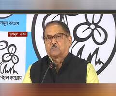 Subrata Mukherjee Press Meet: 