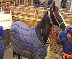 Delhi | सिंघू सीमेवर शेतकऱ्यांकडून रॅलीसाठी जोरदार तयारी, घोड्यांसाठी खास कपड्यांची व्यवस्था